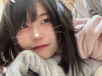 さとうこぺ🍰🐧