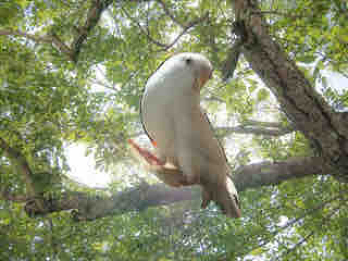 いったん@フォロバします