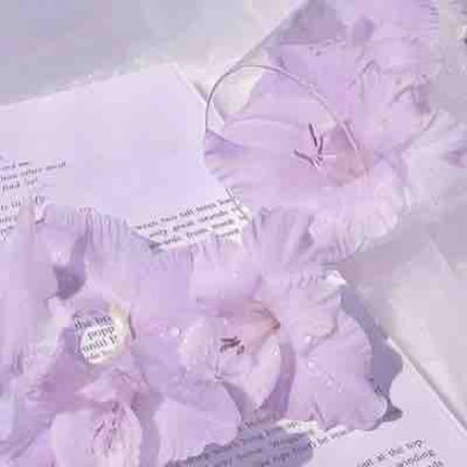 ð§ ð ð€/ 倧éª16ã¿ã€ãããŒãœãã«ã«ã©ãŒã¢ããªã¹ã