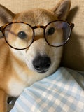 マリか