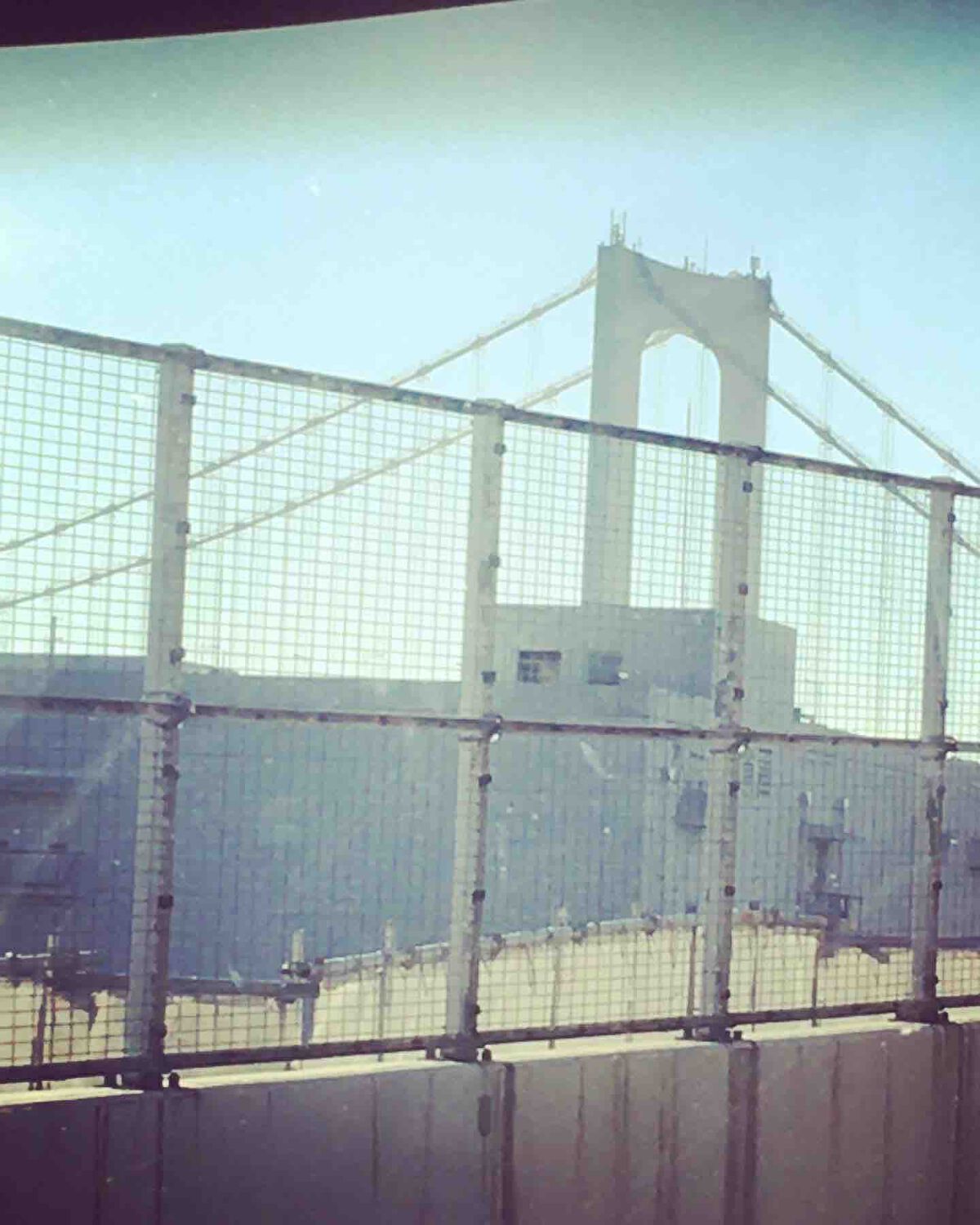 みんみん🦕𓈒 𓂂𓏸