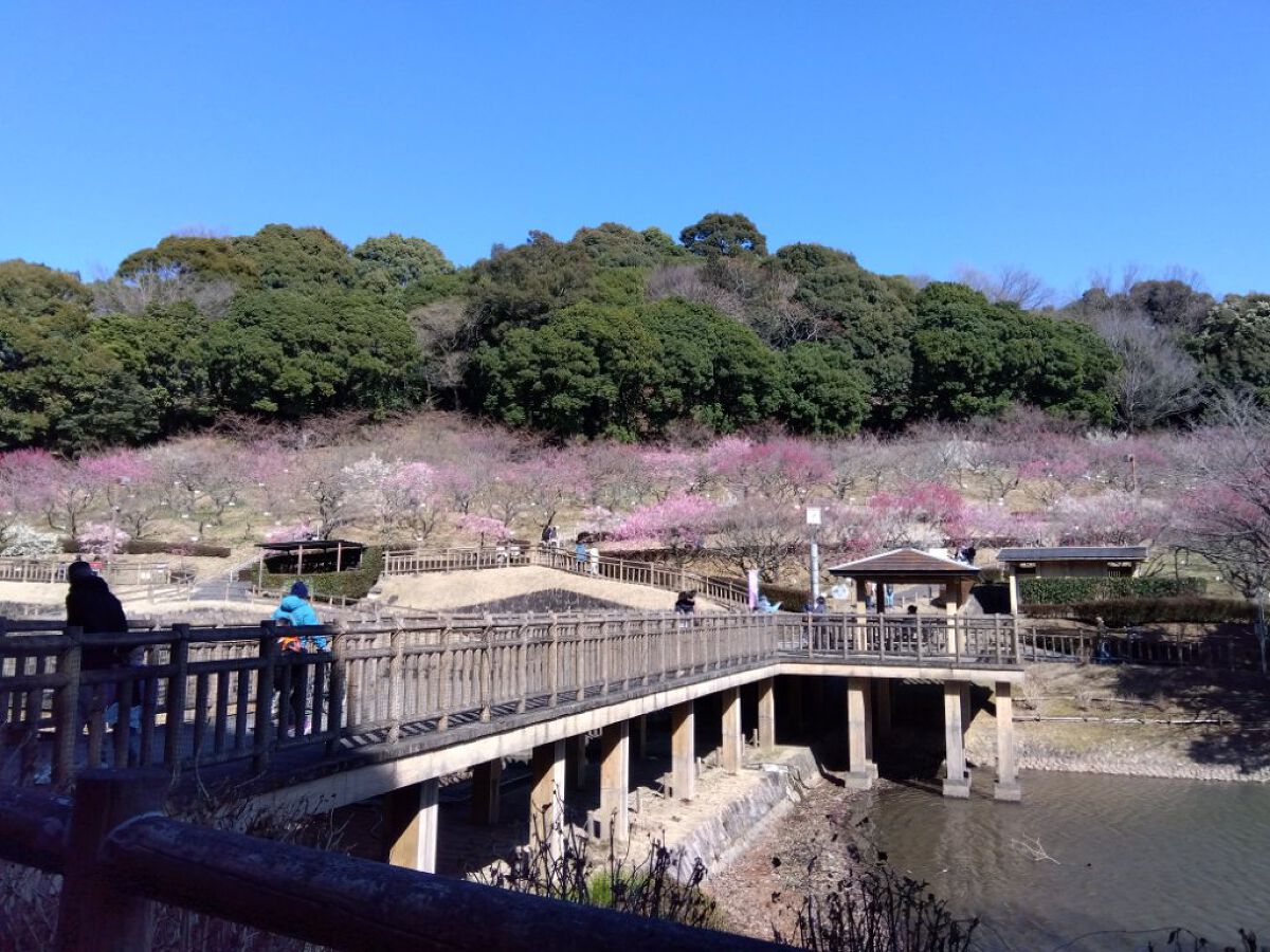 オードリーヘップバーン?