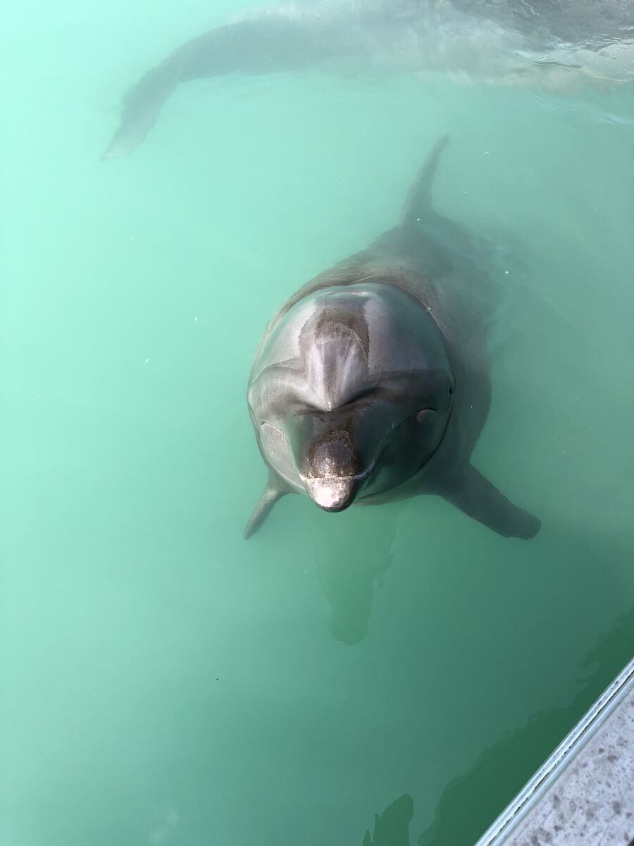 gyokudolフォロバします！