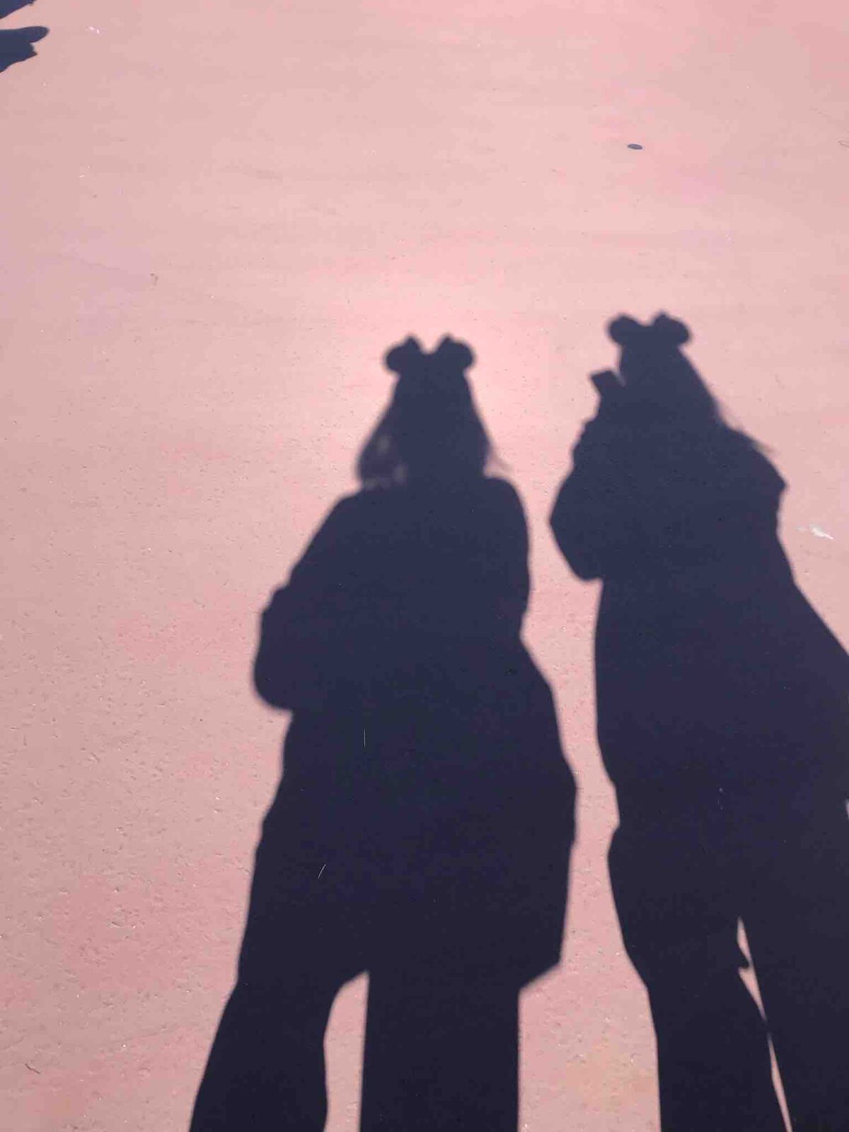 りんご🍎໒꒱·