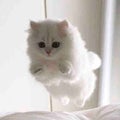 あたい