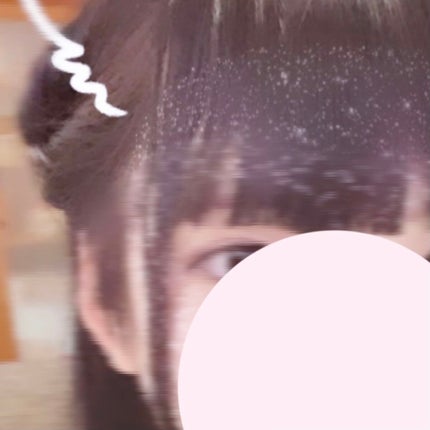 にゃんこ