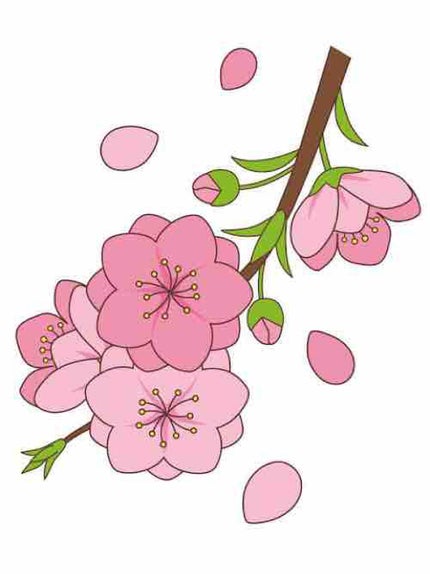 はなっち🌺