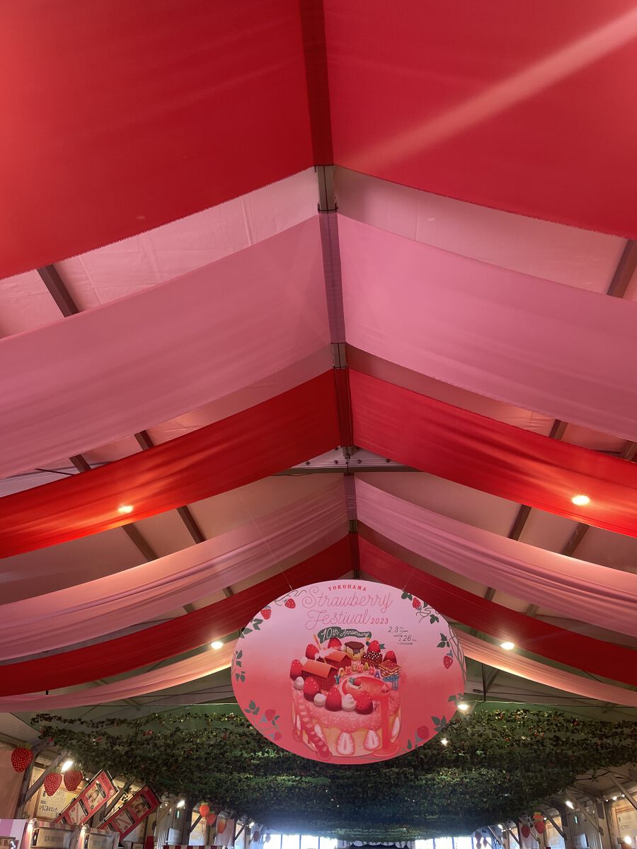 fantastic_cosme_02r3