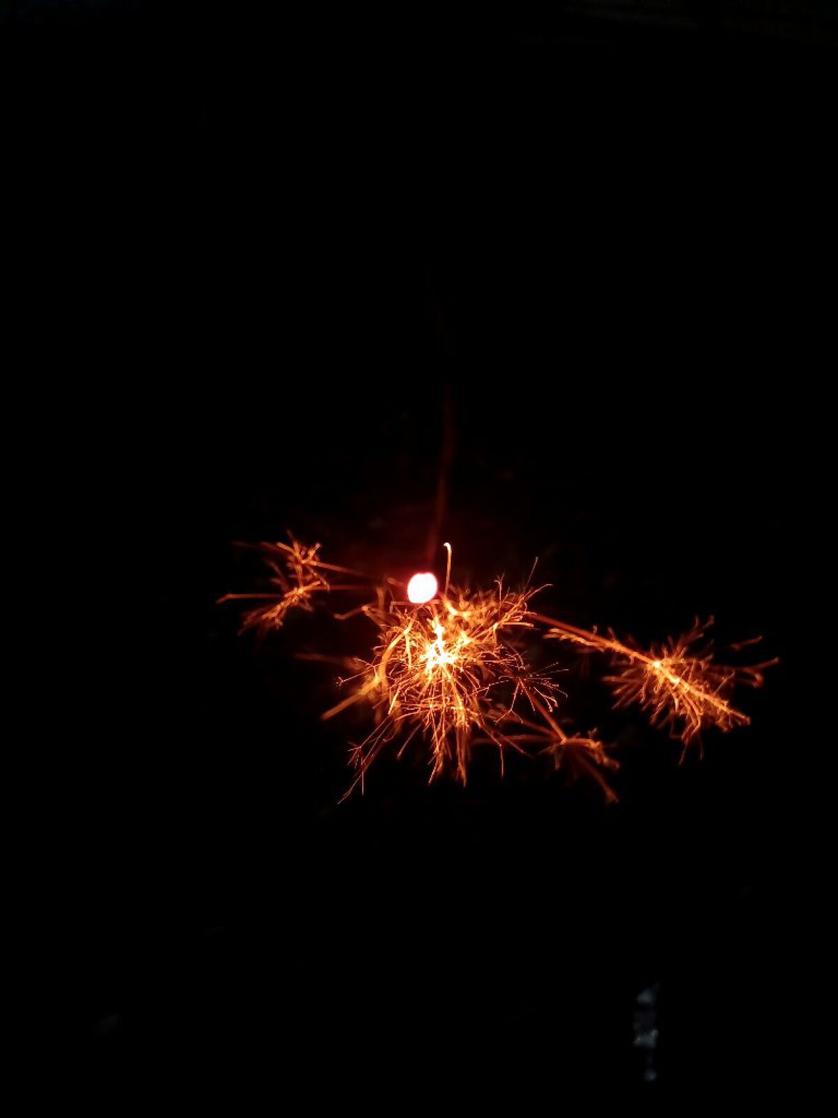 ウスターソース