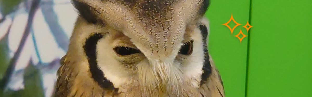 金曜日のたてこ