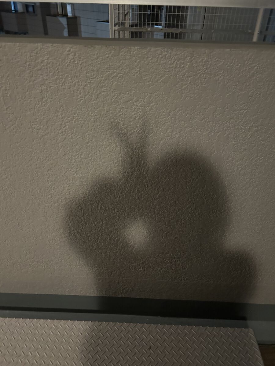  るる‪‪‪ 👍🏻 ̖́-‬