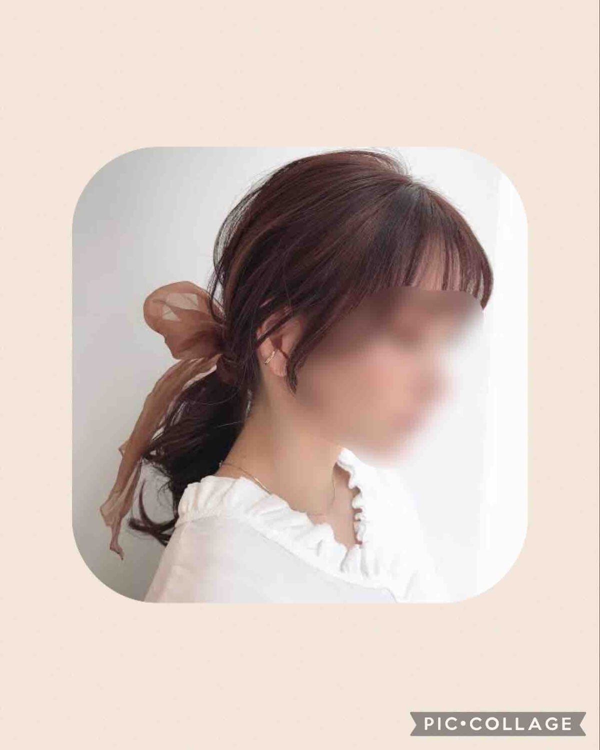 ✳︎ 𝒏𝒆𝒌𝒐 𝒄𝒉𝒂𝒏 ✳︎🍍🐿