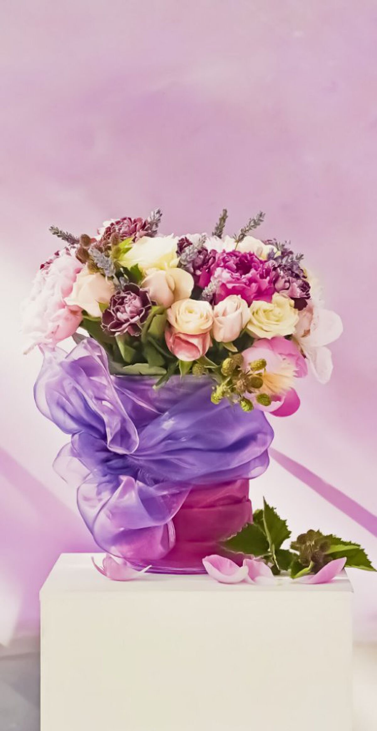 とむフォローバック100%