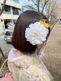 あみ