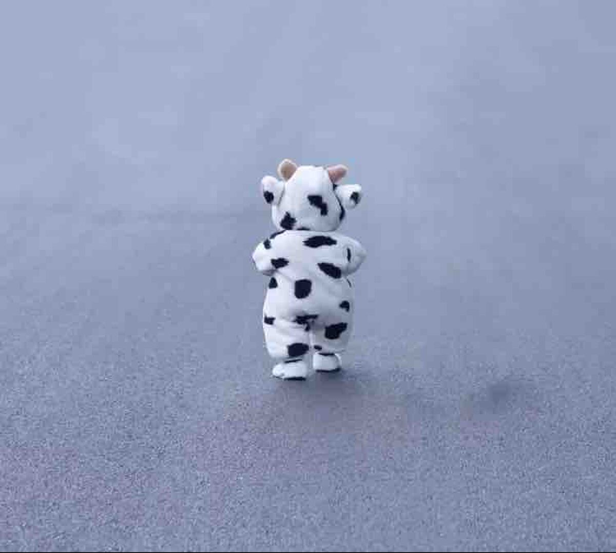 あんな☆フォロバ100％