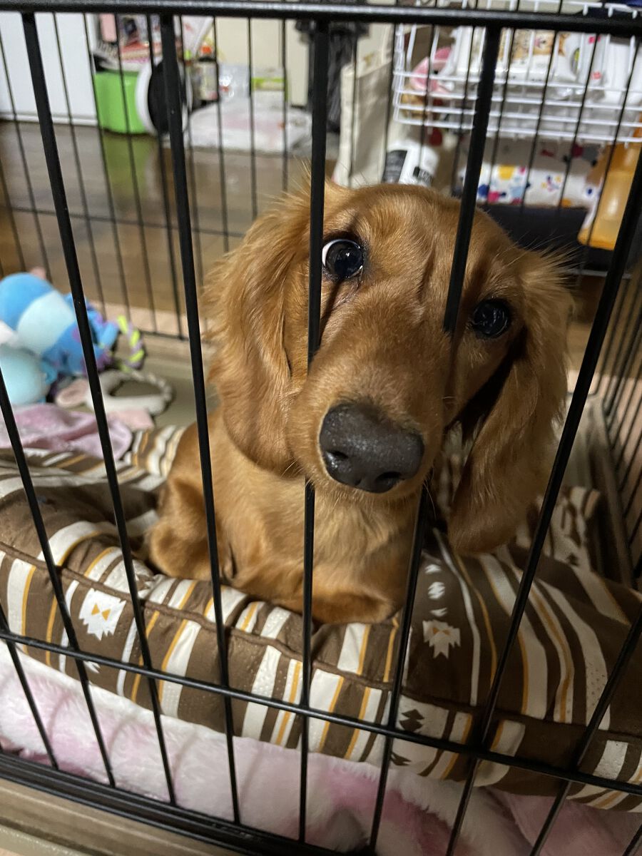 ➳✩⡱Haruka➳✩⡱