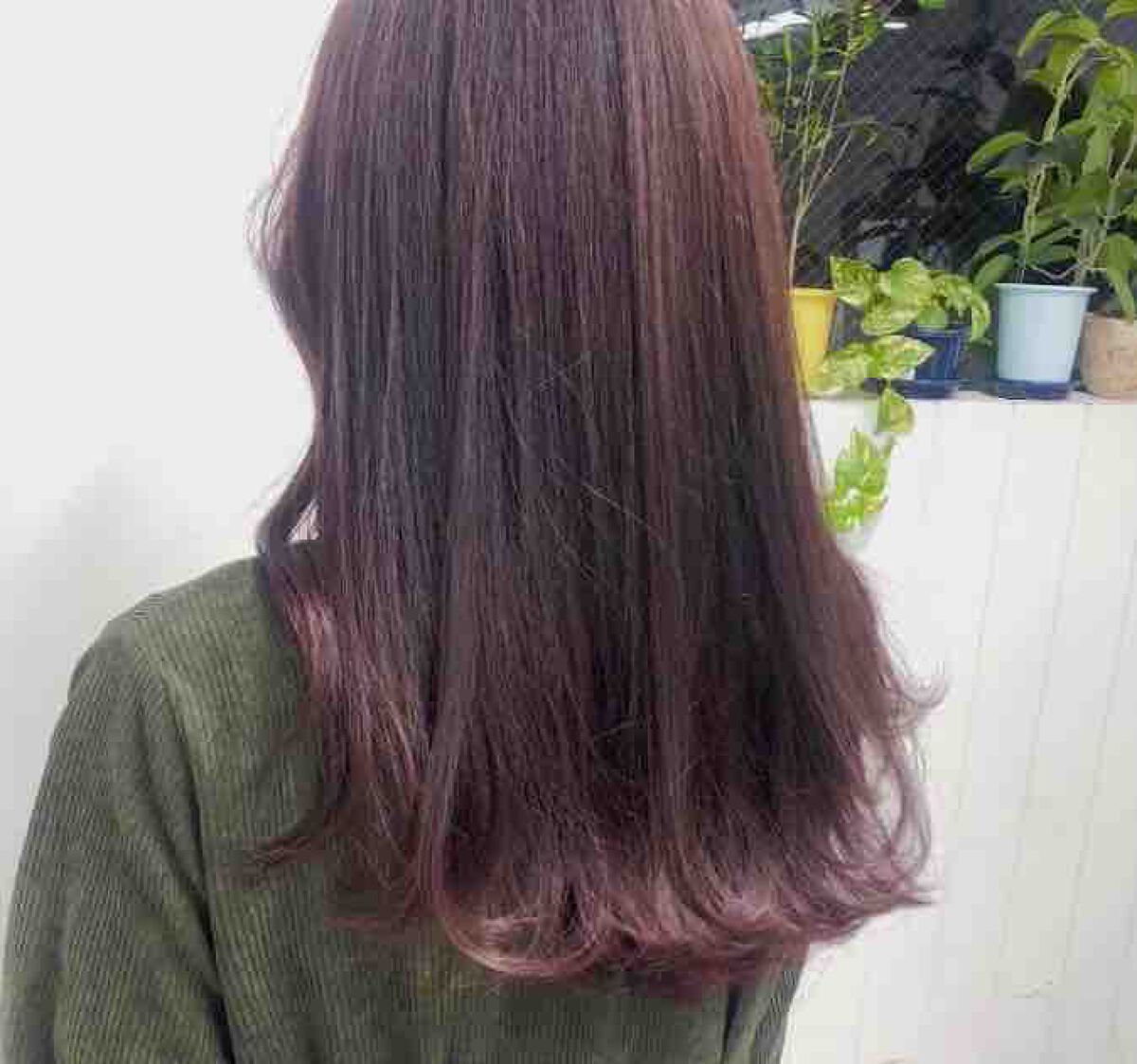 温　フォロバ100