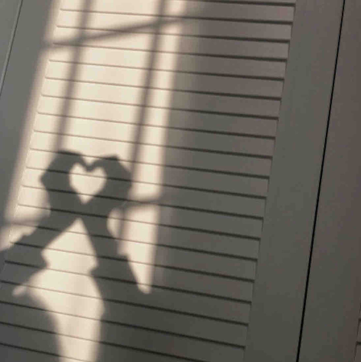 もも‎🤍🕊️