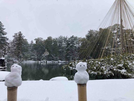 あざらし