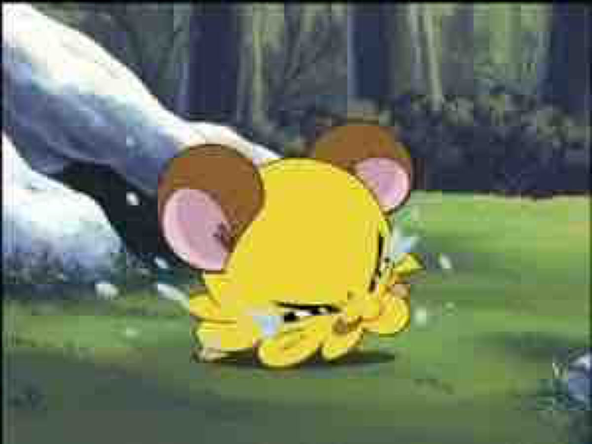 ちびまる🐹フォロバします