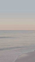 浅利