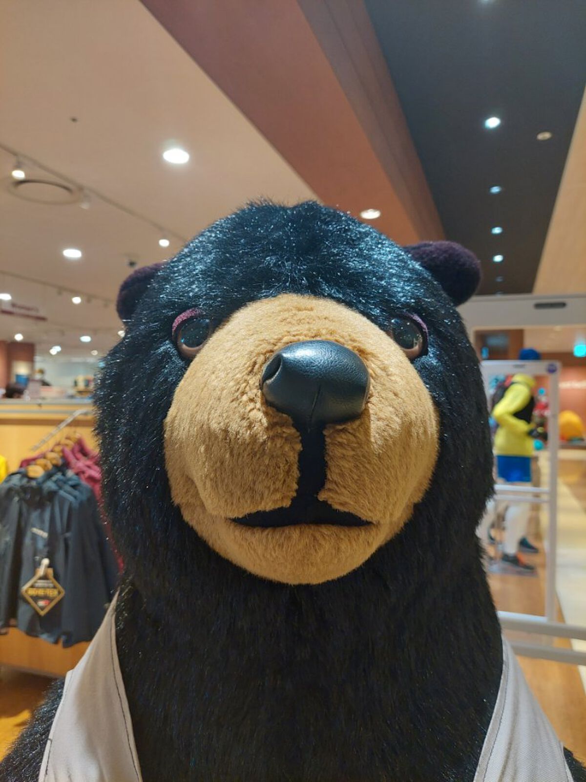 Ratatouille 👨‍🍳