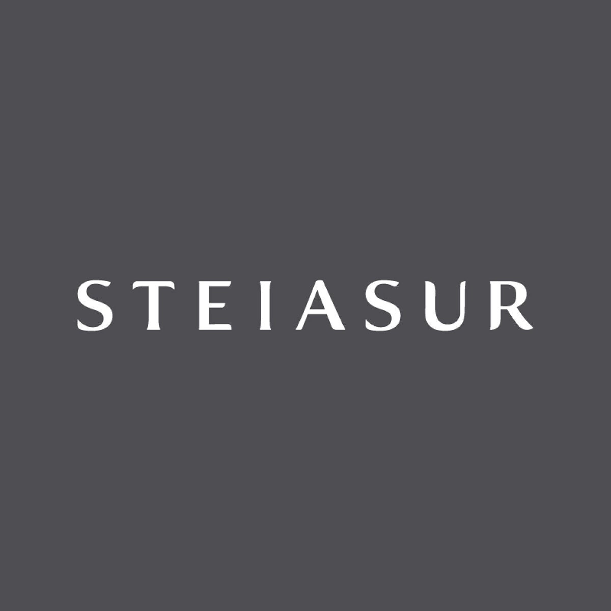 STEIASUR（ステイアシュール）公式アカウント