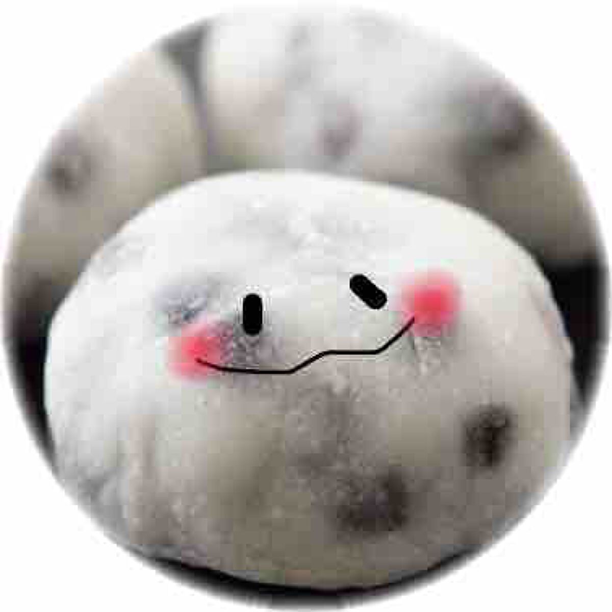 豆大福𓂃𓈒𓏸︎︎︎︎