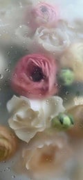 まあむ〰︎︎フォロバ